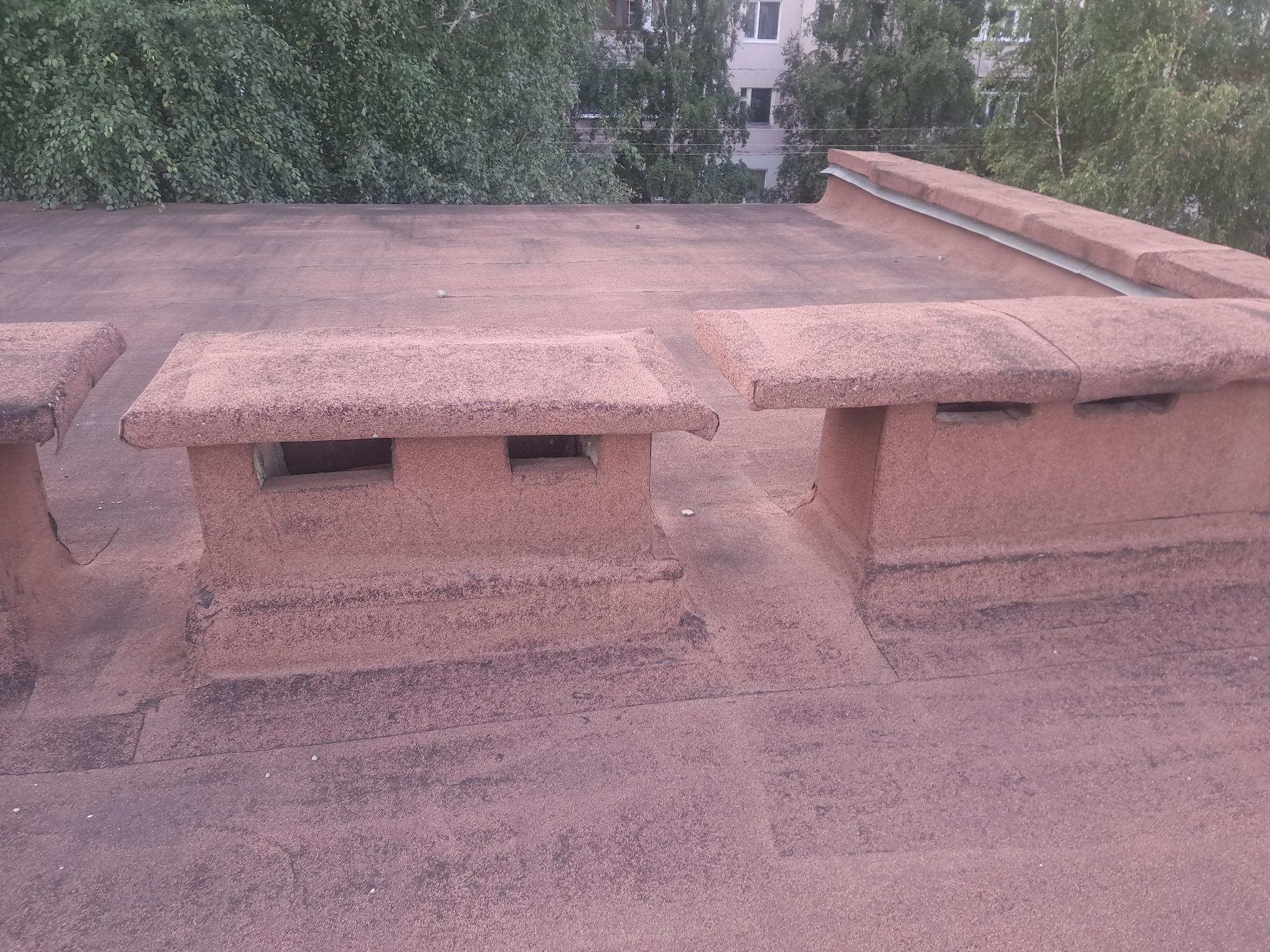 5407_kfGdCEUHLmka.jpg